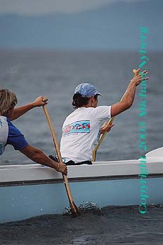 Email me for pricing (5x7's are $6)