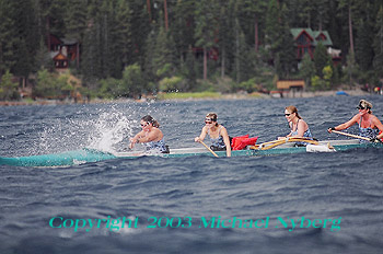 Email me for pricing (5x7's are $6)