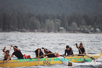 Email me for pricing (5x7's are $6)