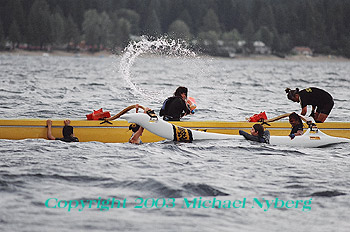 Email me for pricing (5x7's are $6)