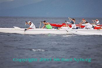 Email me for pricing (5x7's are $6)