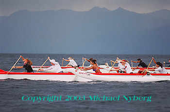 Email me for pricing (5x7's are $6)