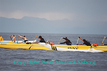 Email me for pricing (5x7's are $6)