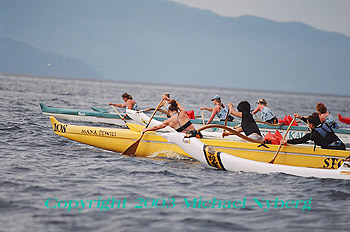 Email me for pricing (5x7's are $6)