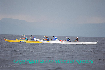 Email me for pricing (5x7's are $6)