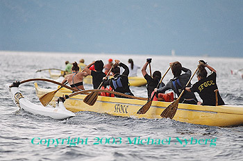 Email me for pricing (5x7's are $6)