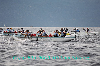 Email me for pricing (5x7's are $6)