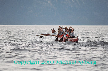 Email me for pricing (5x7's are $6)