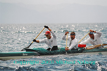 Email me for pricing (5x7's are $6)