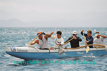 Email me for pricing (5x7's are $6)