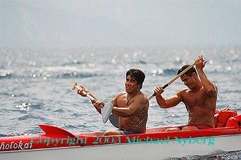 Email me for pricing (5x7's are $6)