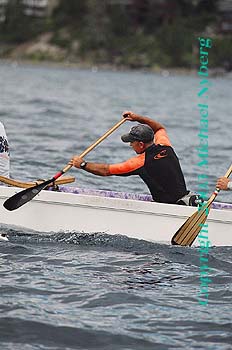 Email me for pricing (5x7's are $6)