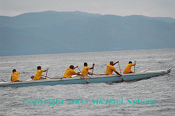 Email me for pricing (5x7's are $6)