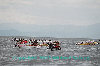 Email me for pricing (5x7's are $6)