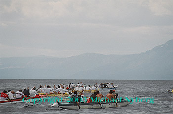 Email me for pricing (5x7's are $6)