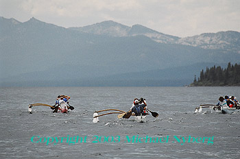 Email me for pricing (5x7's are $6)