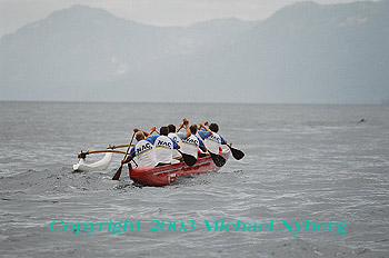 Email me for pricing (5x7's are $6)