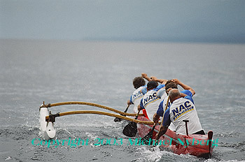 Email me for pricing (5x7's are $6)