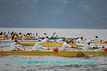 Email me for pricing (5x7's are $6)