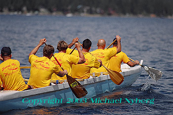 Email me for pricing (5x7's are $6)