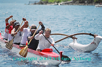 Email me for pricing (5x7's are $6)