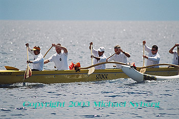 Email me for pricing (5x7's are $6)