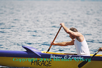 Email me for pricing (5x7's are $6)