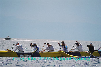 Email me for pricing (5x7's are $6)