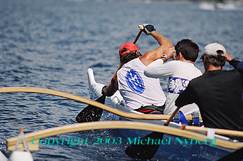 Email me for pricing (5x7's are $6)