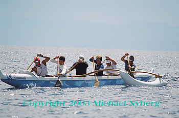 Email me for pricing (5x7's are $6)