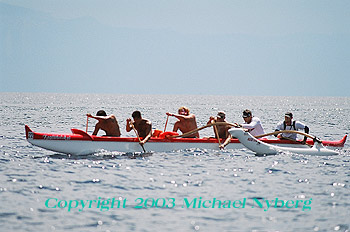 Email me for pricing (5x7's are $6)