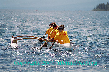 Email me for pricing (5x7's are $6)